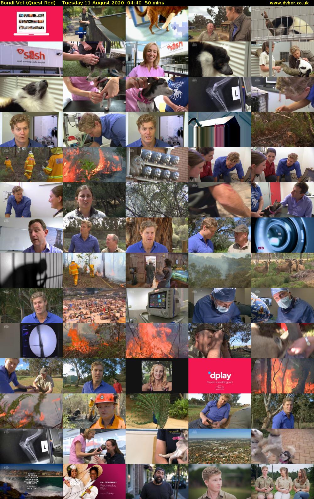 Bondi Vet (Quest Red) Tuesday 11 August 2020 04:40 - 05:30