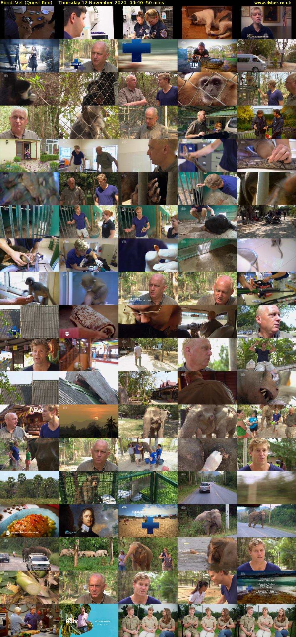 Bondi Vet (Quest Red) Thursday 12 November 2020 04:40 - 05:30