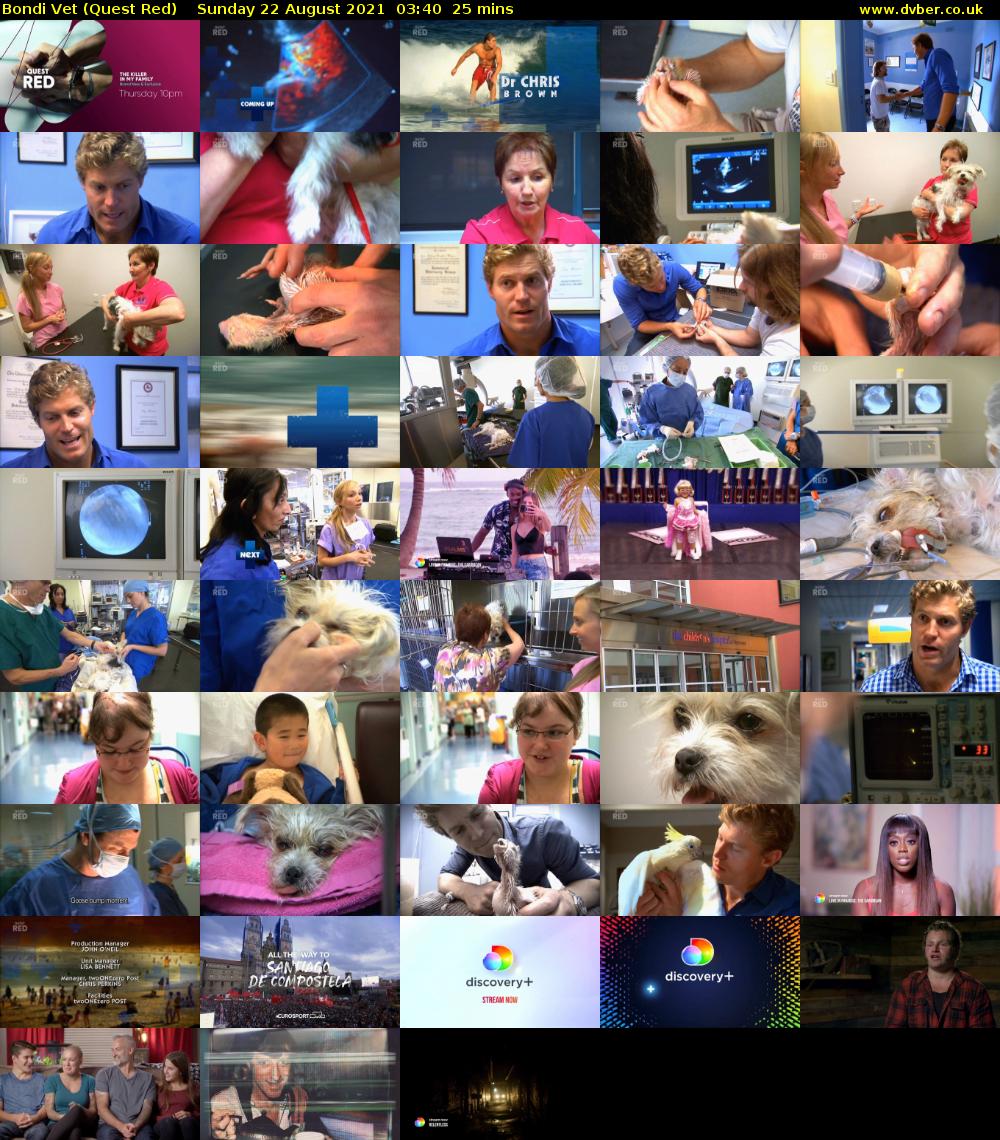 Bondi Vet (Quest Red) Sunday 22 August 2021 04:40 - 05:05