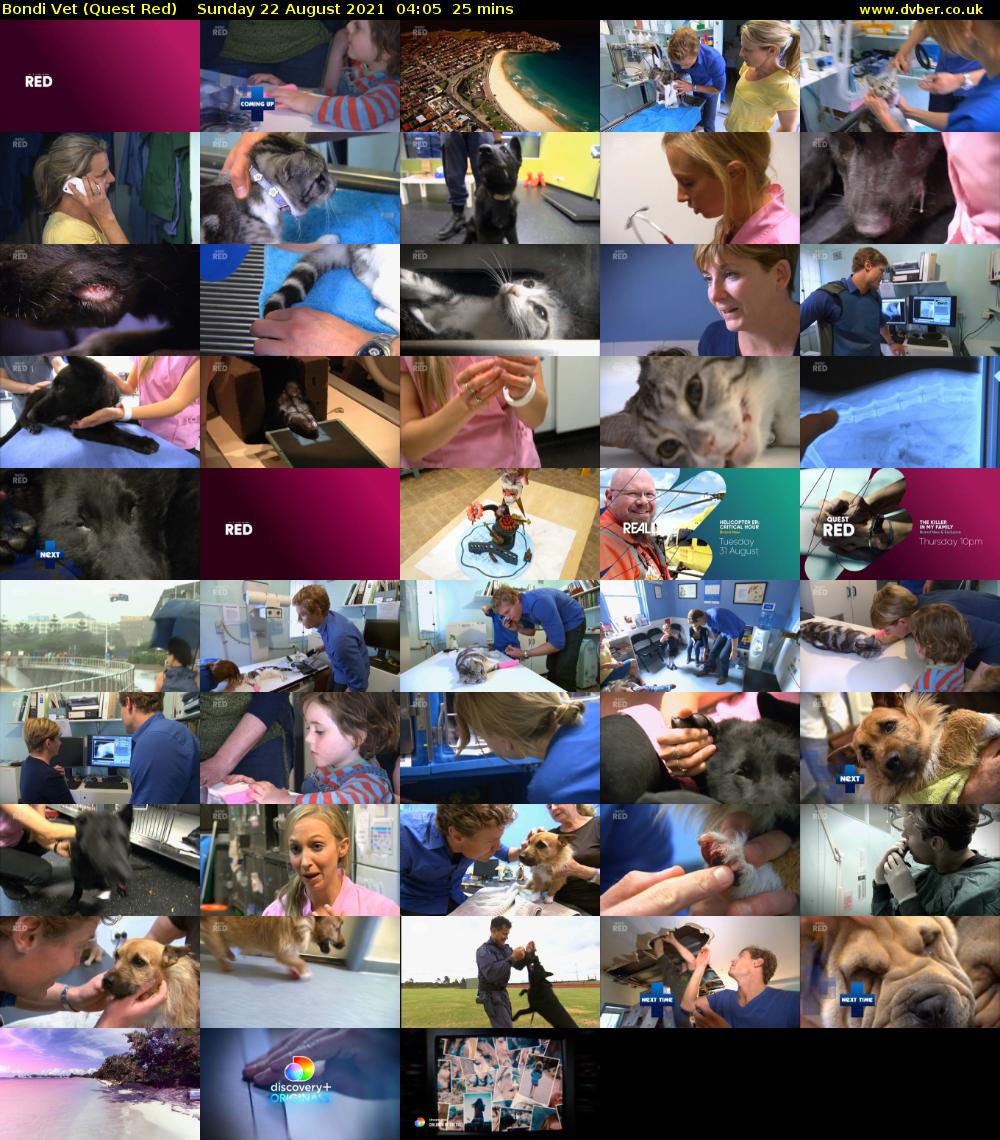 Bondi Vet (Quest Red) Sunday 22 August 2021 05:05 - 05:30