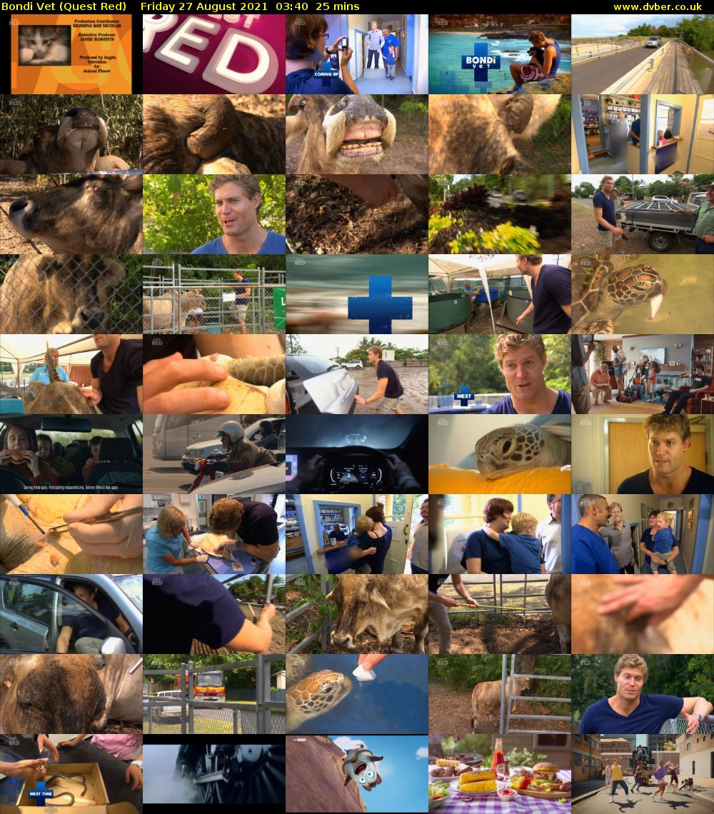 Bondi Vet (Quest Red) Friday 27 August 2021 04:40 - 05:05