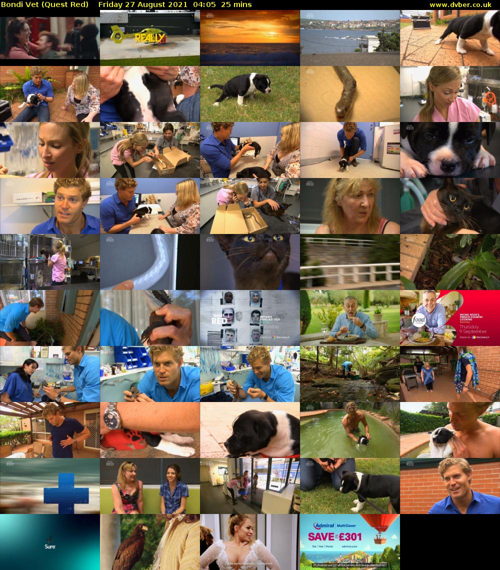Bondi Vet (Quest Red) Friday 27 August 2021 05:05 - 05:30