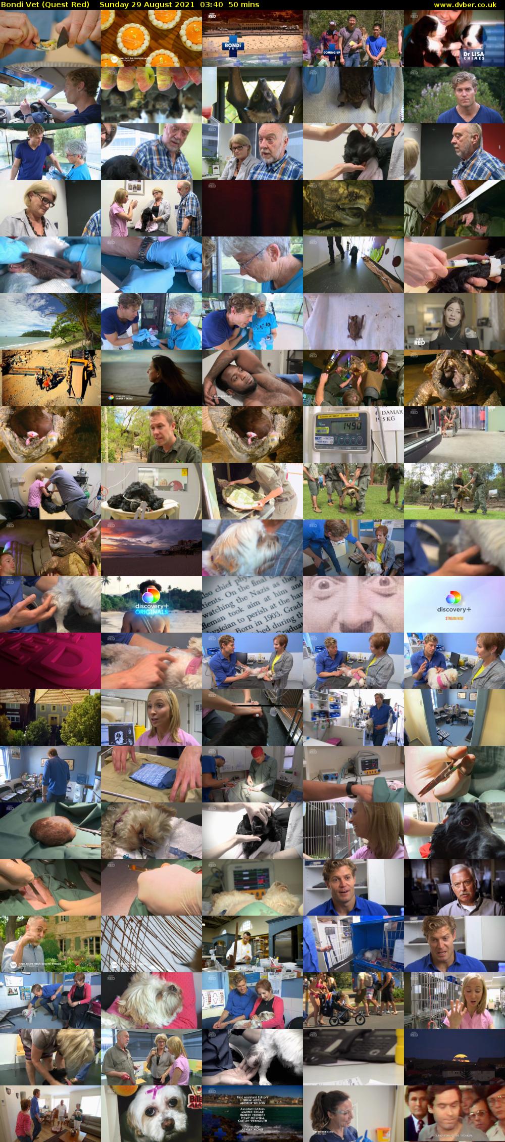 Bondi Vet (Quest Red) Sunday 29 August 2021 04:40 - 05:30