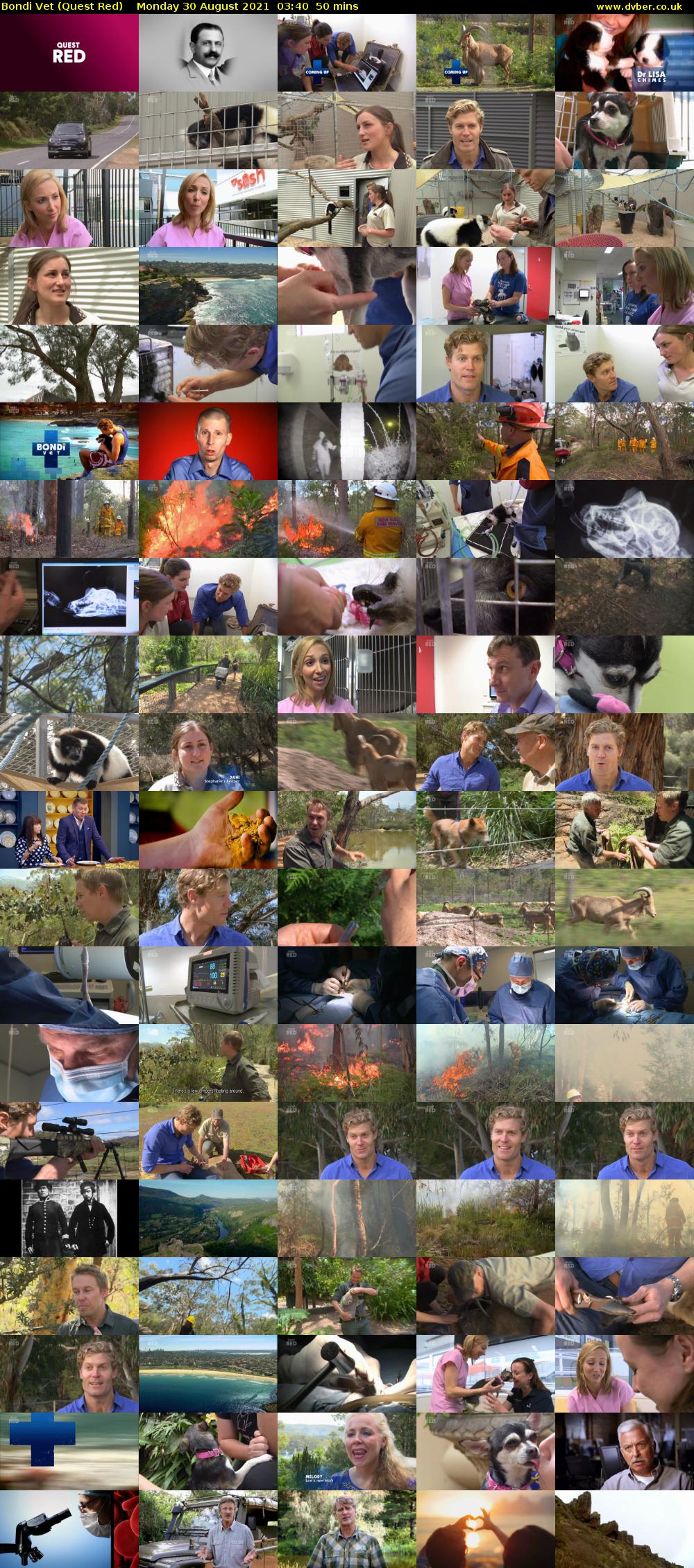 Bondi Vet (Quest Red) Monday 30 August 2021 04:40 - 05:30
