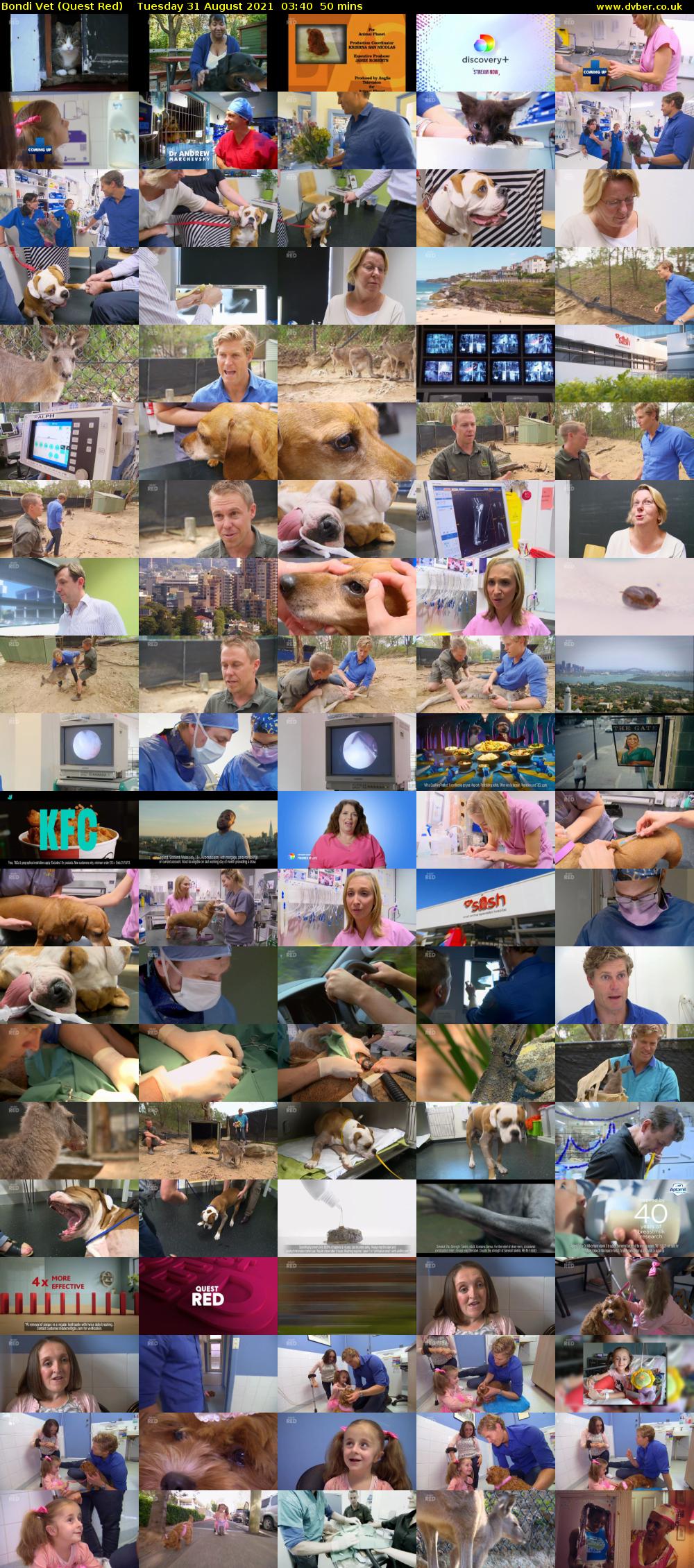 Bondi Vet (Quest Red) Tuesday 31 August 2021 04:40 - 05:30