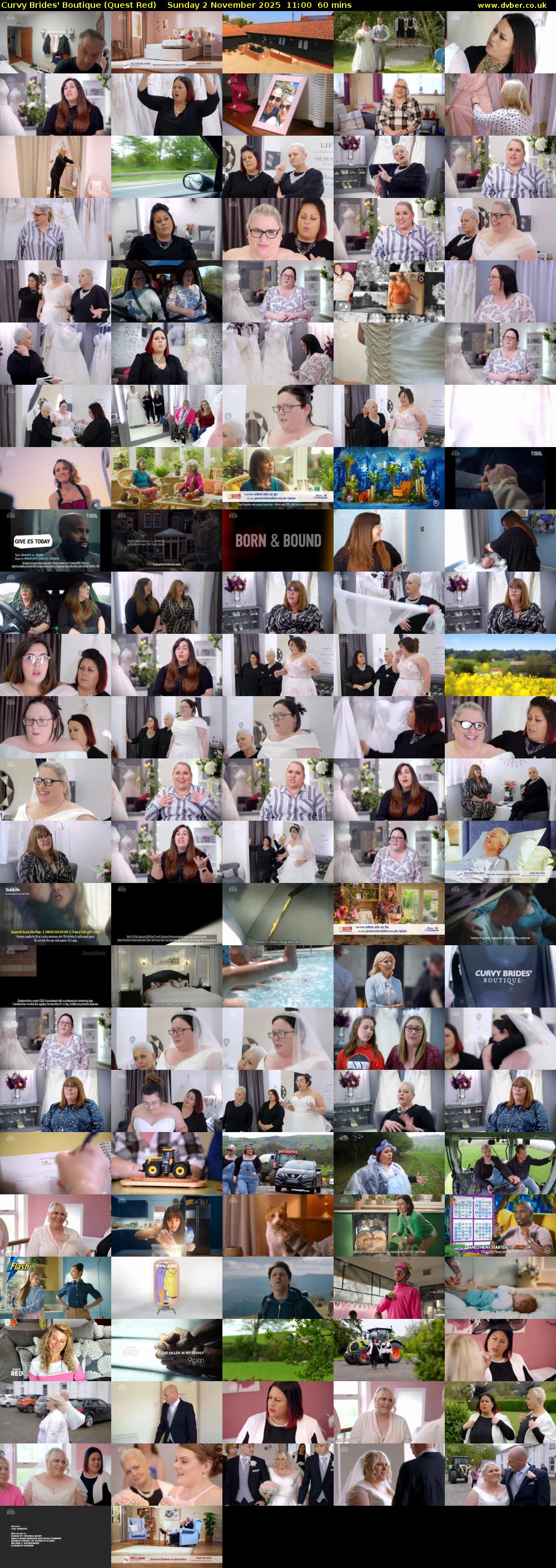 Curvy Brides' Boutique (Quest Red) Sunday 2 November 2025 11:00 - 12:00