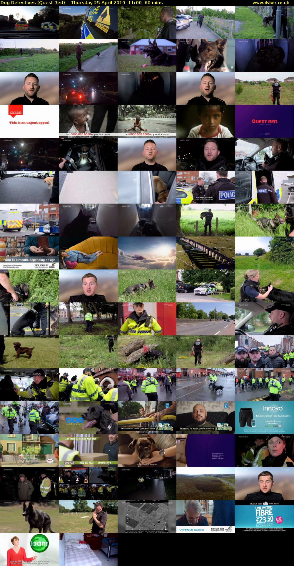 Dog Detectives (Quest Red) Thursday 25 April 2019 11:00 - 12:00