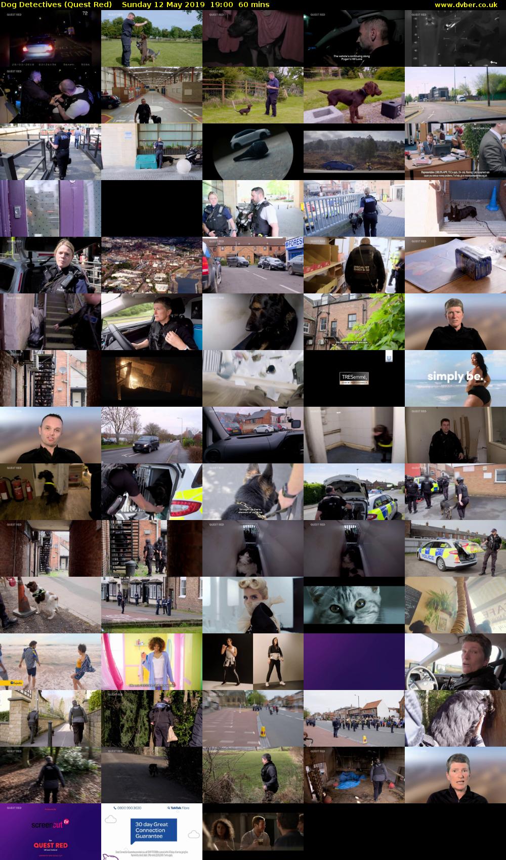 Dog Detectives (Quest Red) Sunday 12 May 2019 19:00 - 20:00