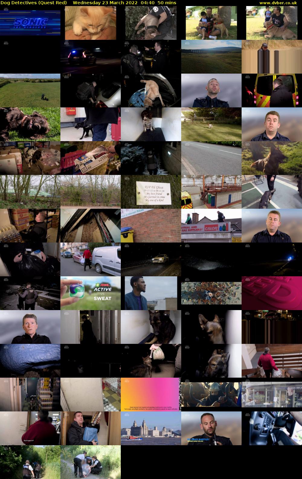 Dog Detectives (Quest Red) Wednesday 23 March 2022 04:40 - 05:30