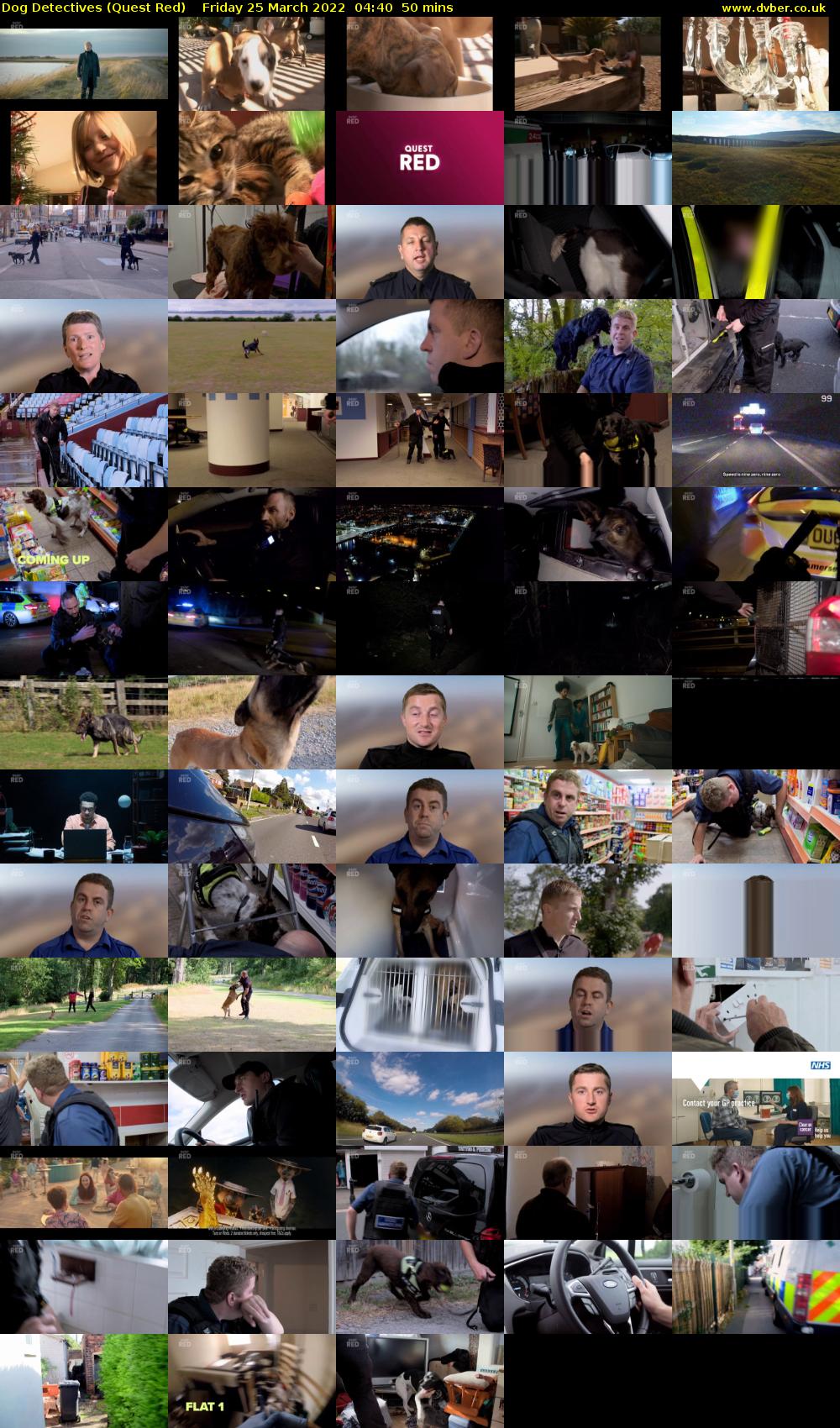 Dog Detectives (Quest Red) Friday 25 March 2022 04:40 - 05:30