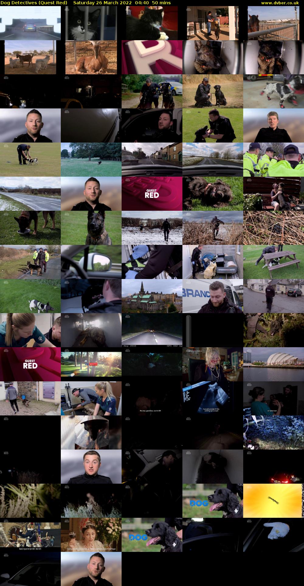 Dog Detectives (Quest Red) Saturday 26 March 2022 04:40 - 05:30