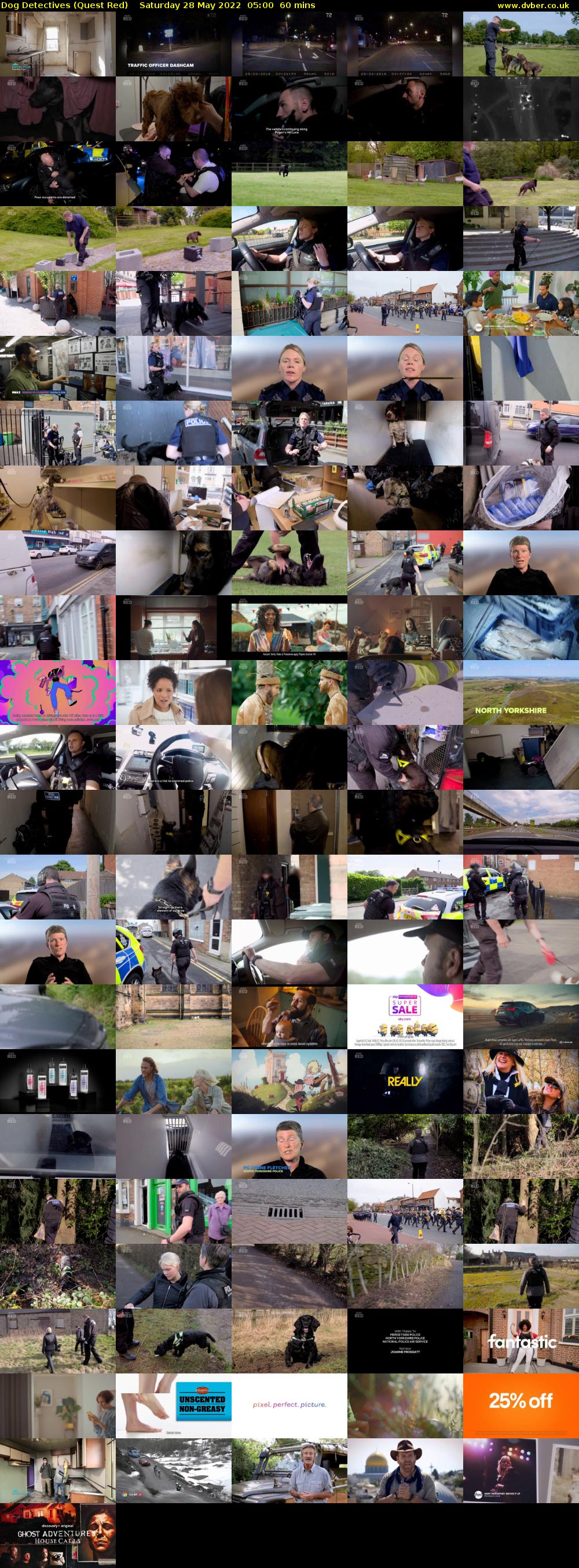 Dog Detectives (Quest Red) Saturday 28 May 2022 05:00 - 06:00