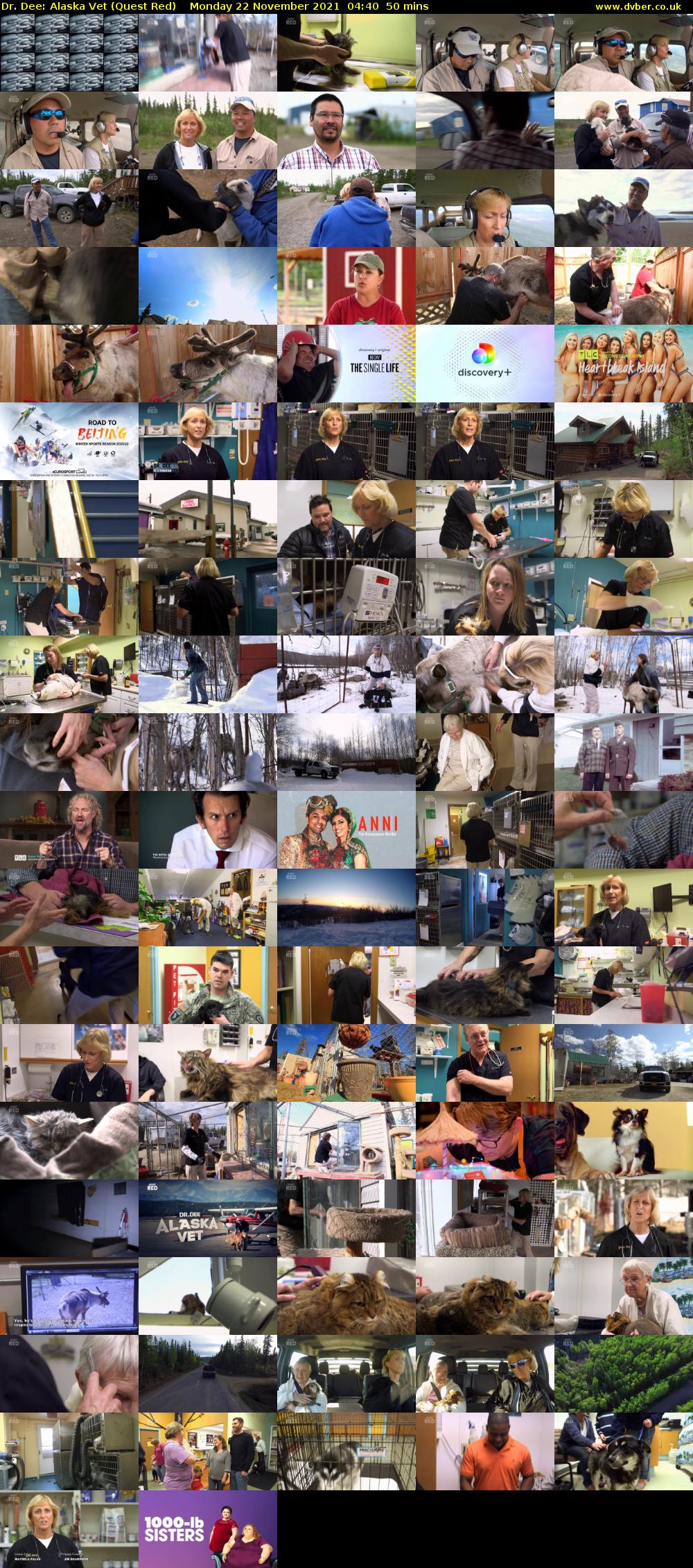 Dr. Dee: Alaska Vet (Quest Red) Monday 22 November 2021 04:40 - 05:30