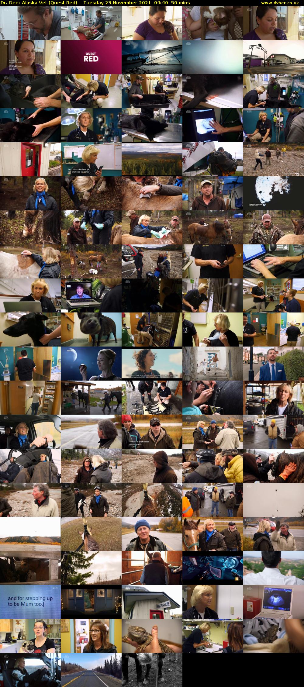 Dr. Dee: Alaska Vet (Quest Red) Tuesday 23 November 2021 04:40 - 05:30