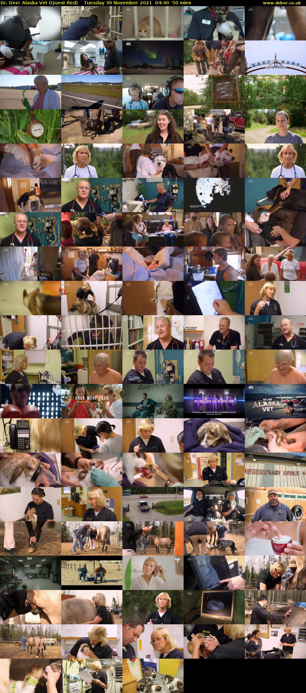 Dr. Dee: Alaska Vet (Quest Red) Tuesday 30 November 2021 04:40 - 05:30