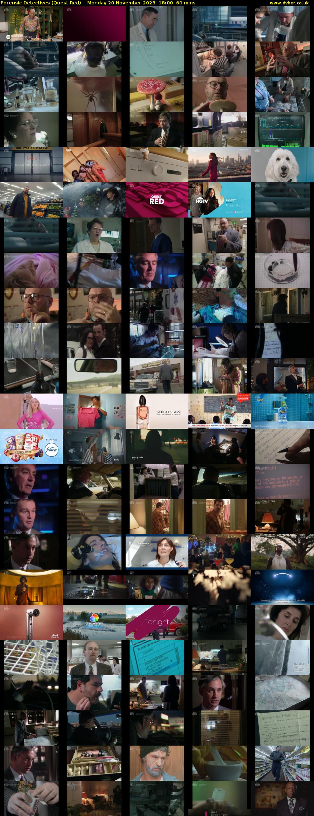 Forensic Detectives (Quest Red) Monday 20 November 2023 18:00 - 19:00