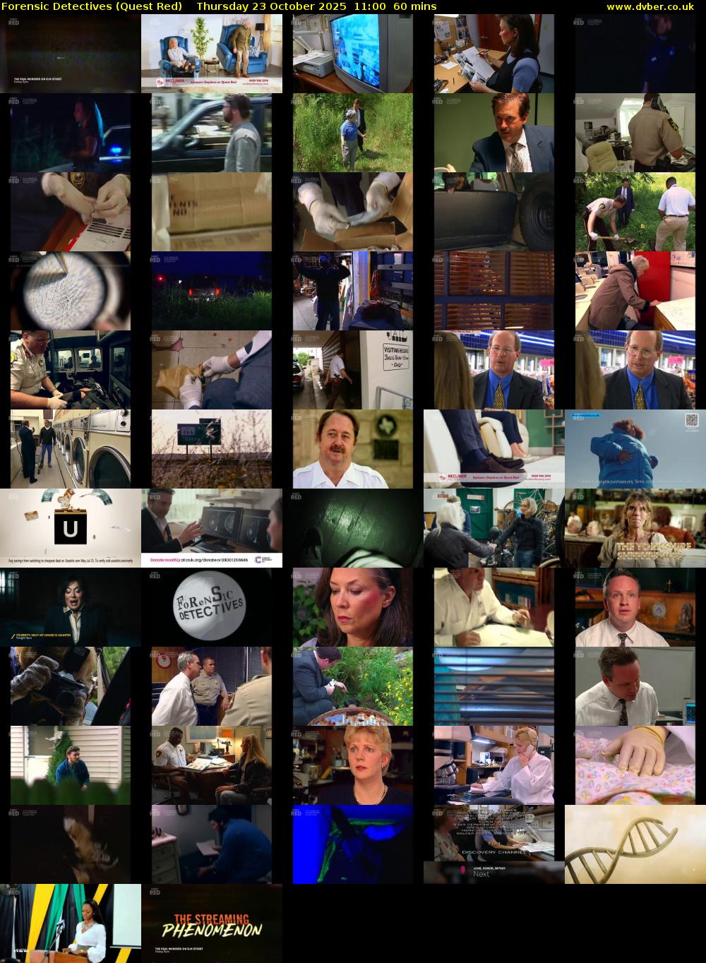 Forensic Detectives (Quest Red) Thursday 23 October 2025 11:00 - 12:00
