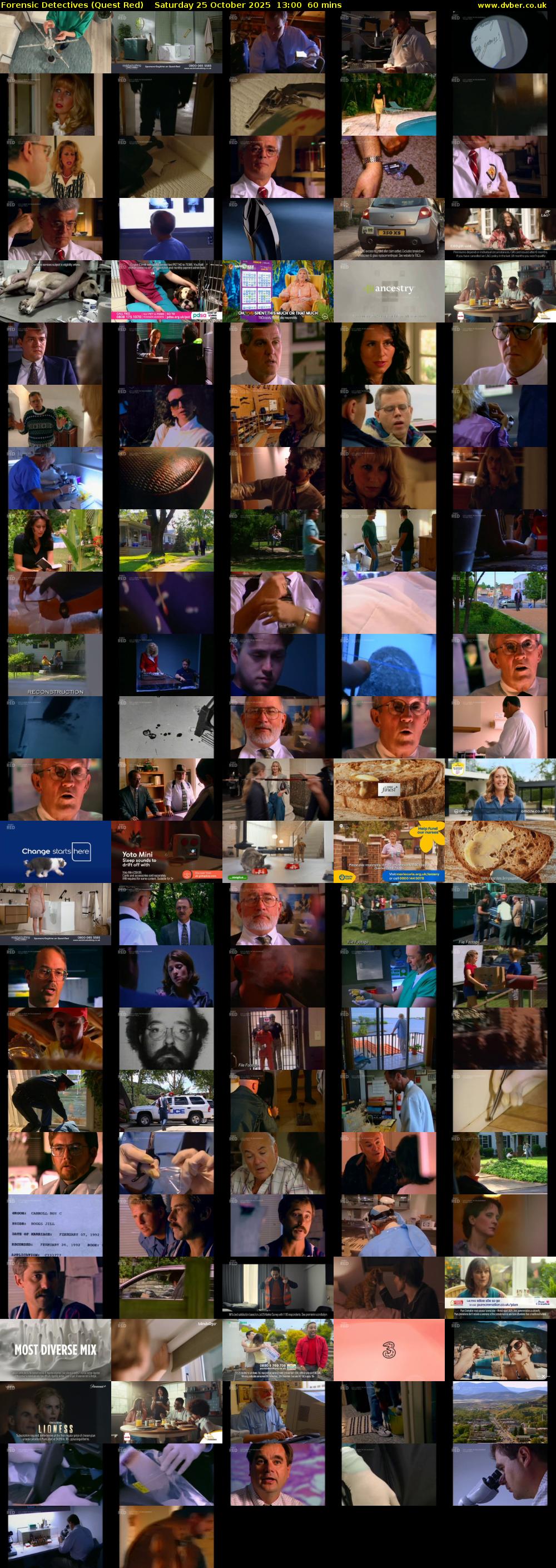Forensic Detectives (Quest Red) Saturday 25 October 2025 13:00 - 14:00