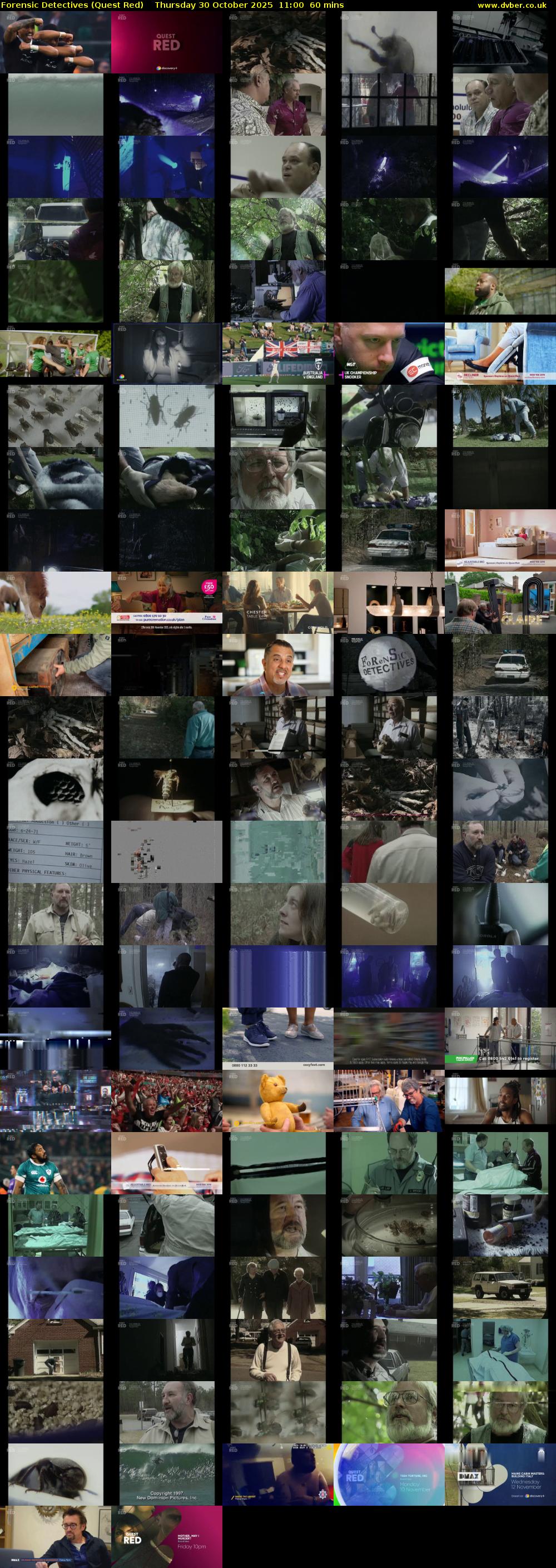 Forensic Detectives (Quest Red) Thursday 30 October 2025 11:00 - 12:00