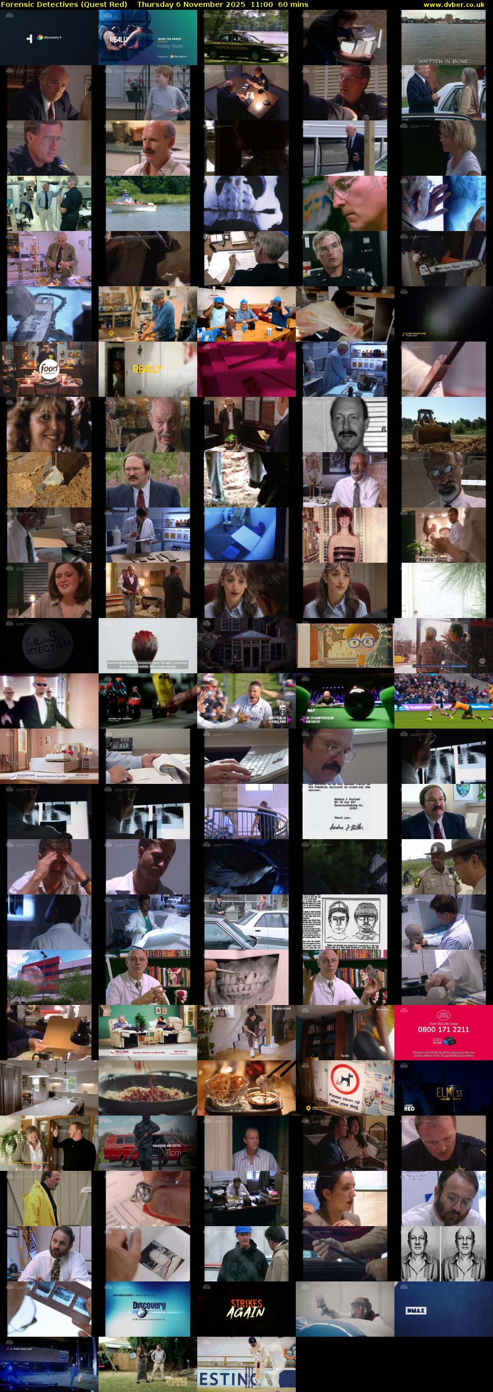 Forensic Detectives (Quest Red) Thursday 6 November 2025 11:00 - 12:00