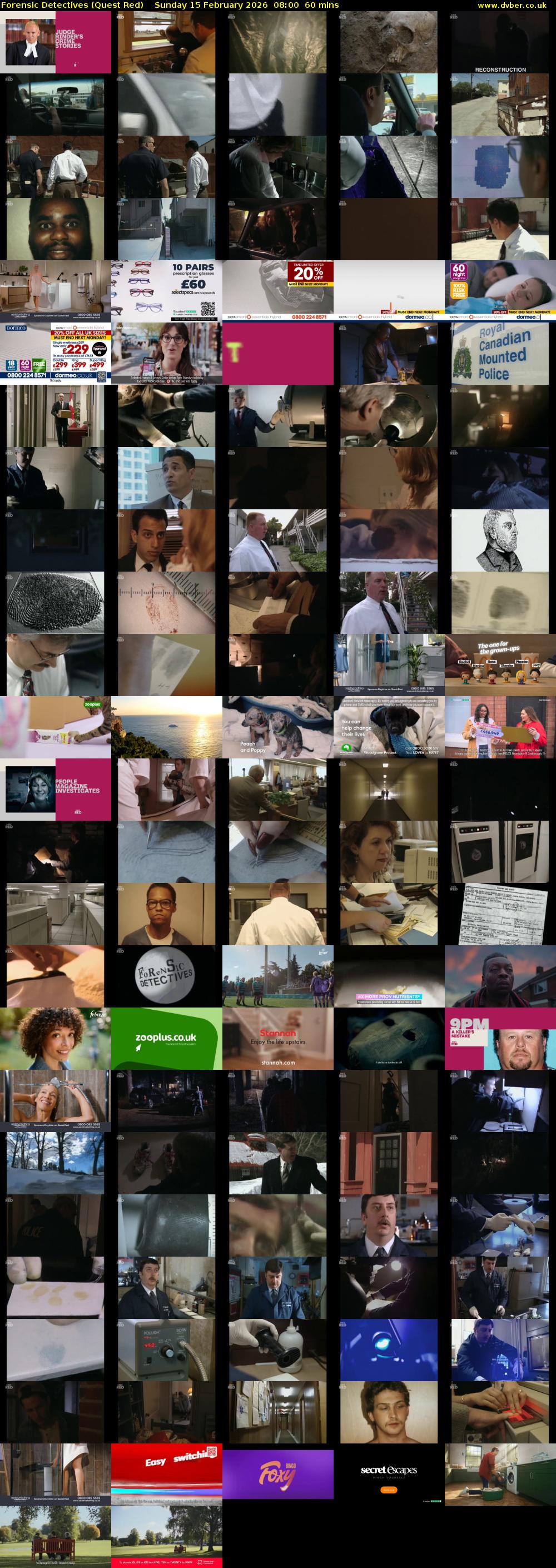 Forensic Detectives (Quest Red) Sunday 15 February 2026 08:00 - 09:00