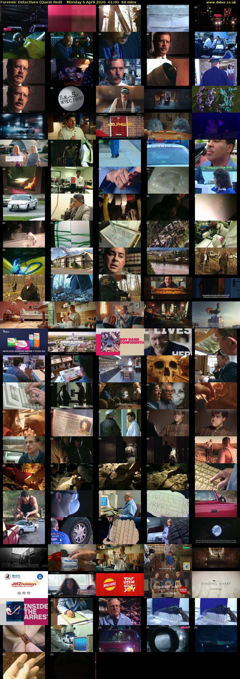 Forensic Detectives (Quest Red) Monday 6 April 2026 01:00 - 02:00