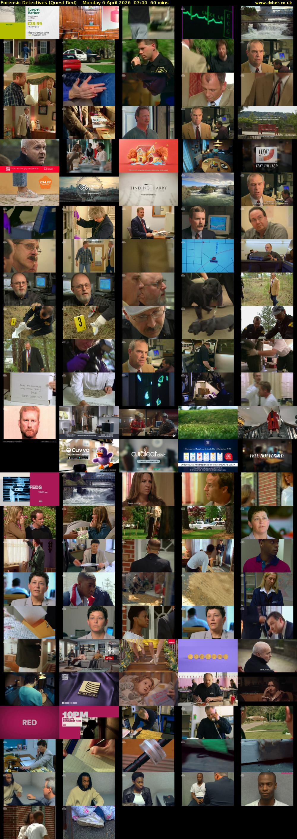 Forensic Detectives (Quest Red) Monday 6 April 2026 07:00 - 08:00