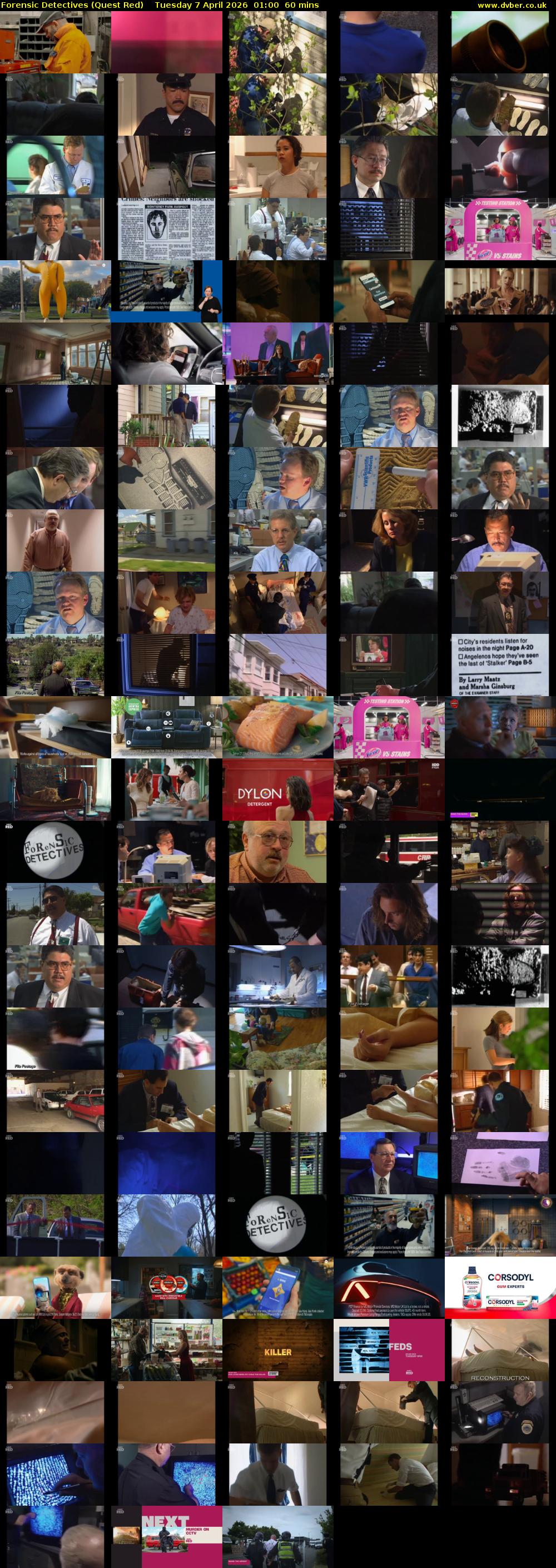 Forensic Detectives (Quest Red) Tuesday 7 April 2026 01:00 - 02:00