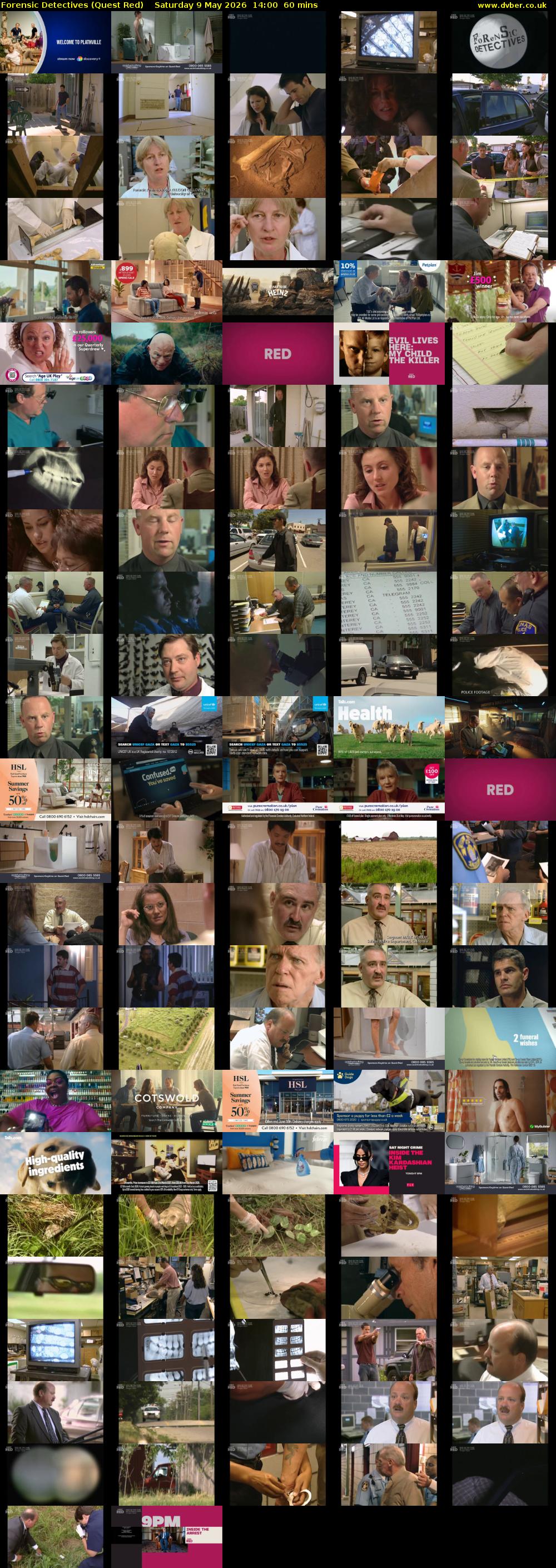 Forensic Detectives (Quest Red) Saturday 9 May 2026 14:00 - 15:00