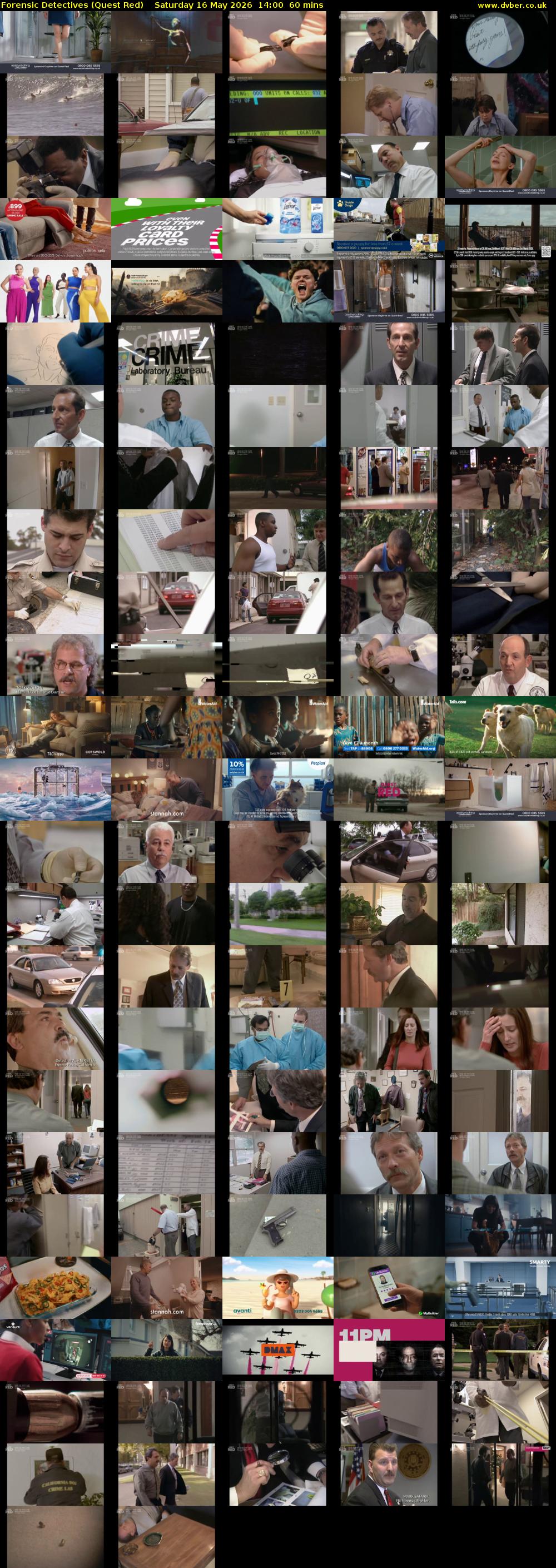 Forensic Detectives (Quest Red) Saturday 16 May 2026 14:00 - 15:00