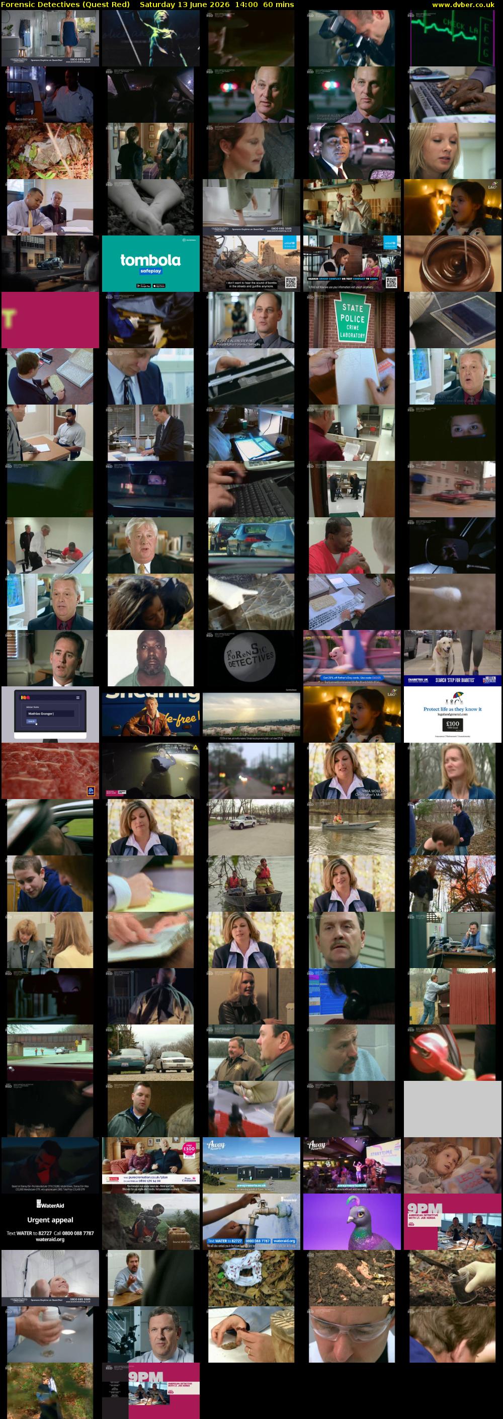 Forensic Detectives (Quest Red) Saturday 13 June 2026 14:00 - 15:00