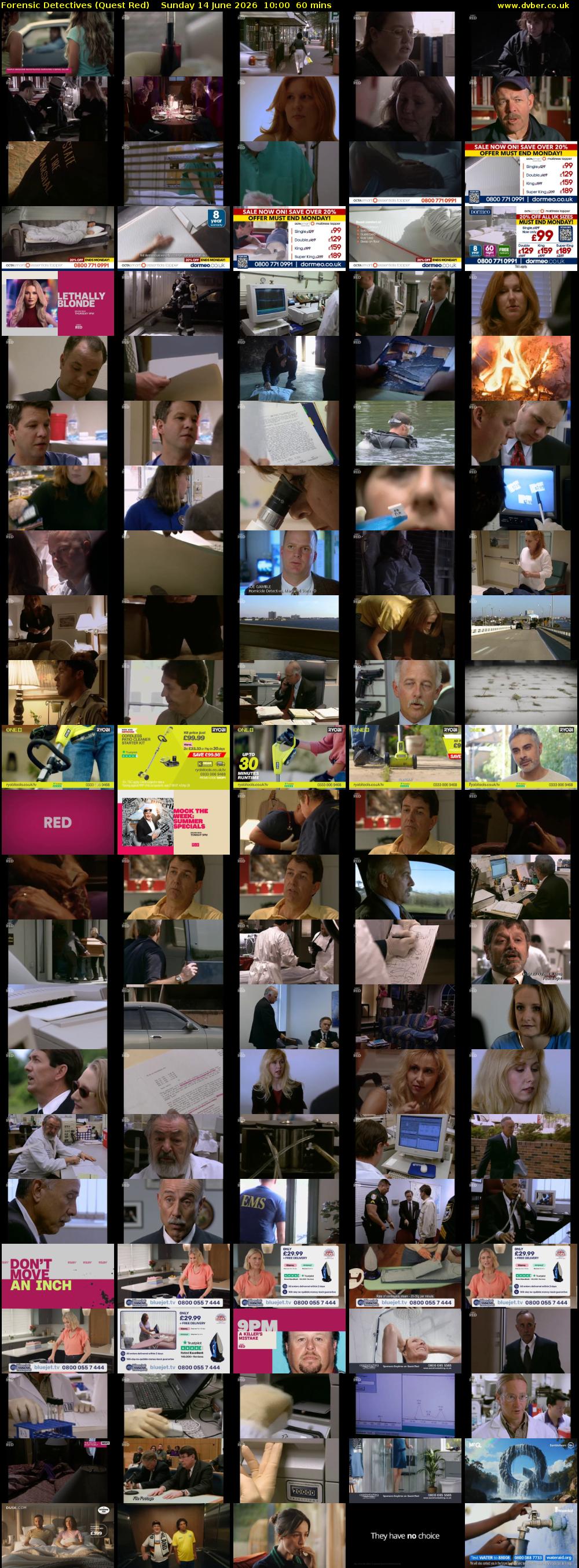 Forensic Detectives (Quest Red) Sunday 14 June 2026 10:00 - 11:00
