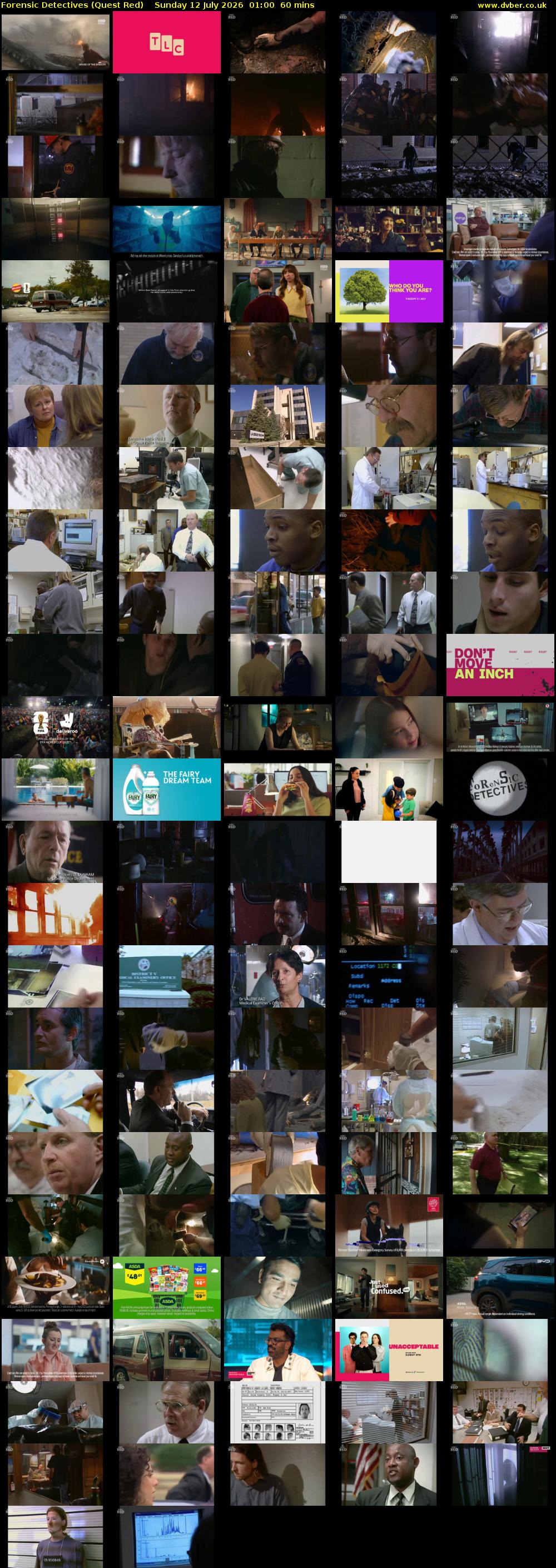 Forensic Detectives (Quest Red) Sunday 12 July 2026 01:00 - 02:00