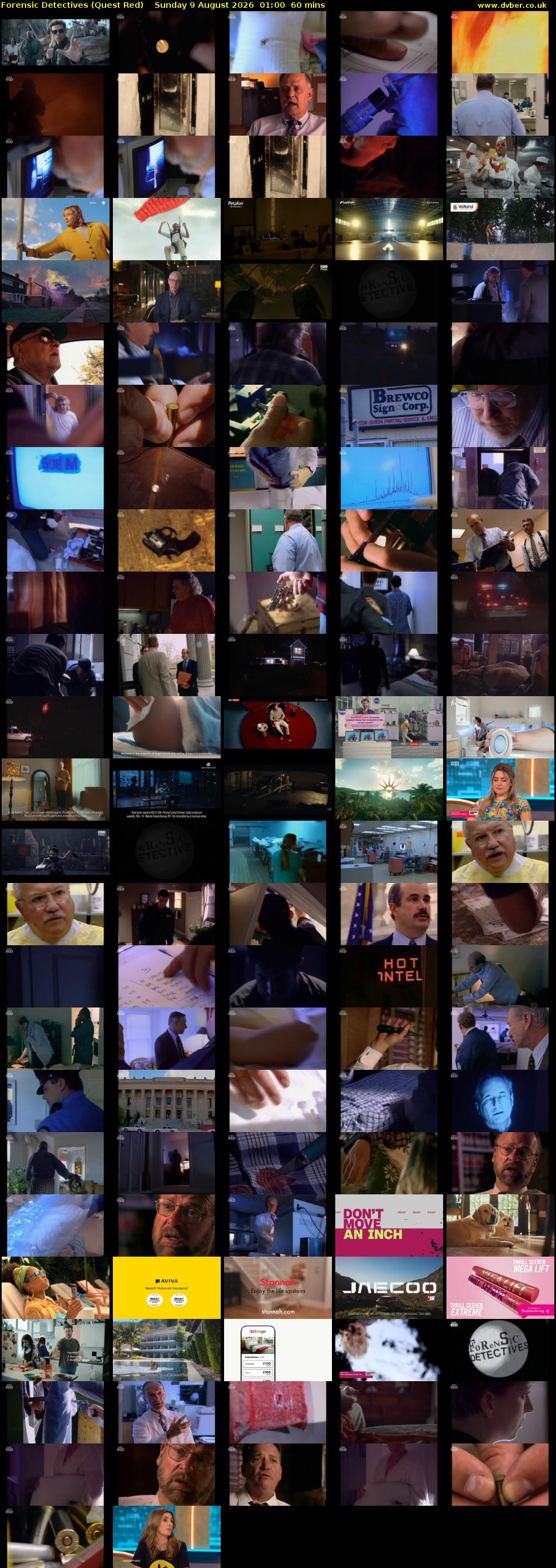 Forensic Detectives (Quest Red) Sunday 9 August 2026 01:00 - 02:00