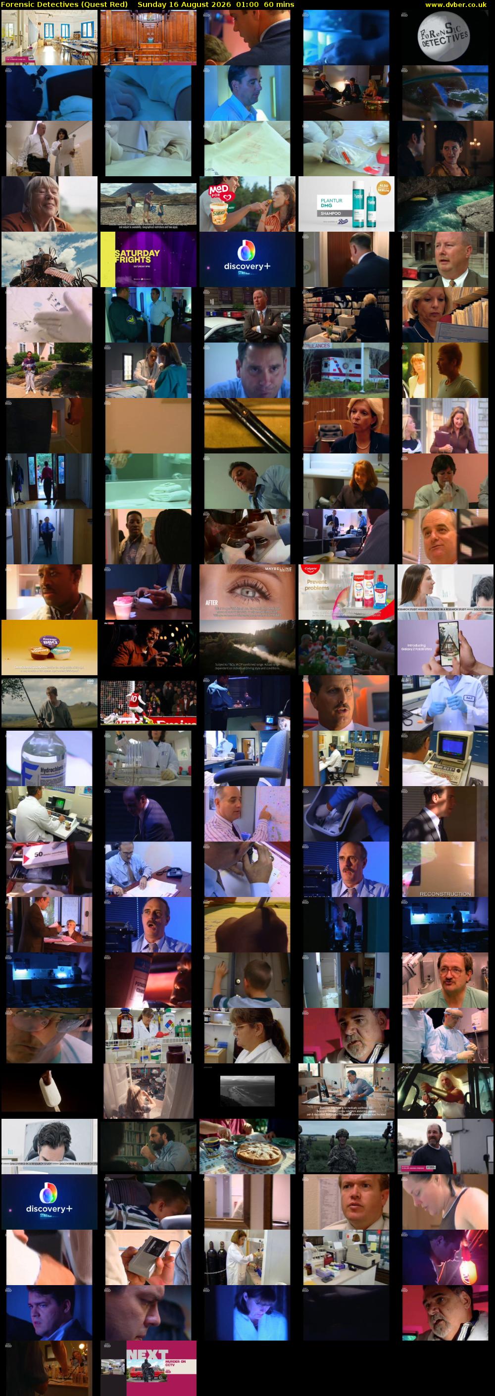 Forensic Detectives (Quest Red) Sunday 16 August 2026 01:00 - 02:00