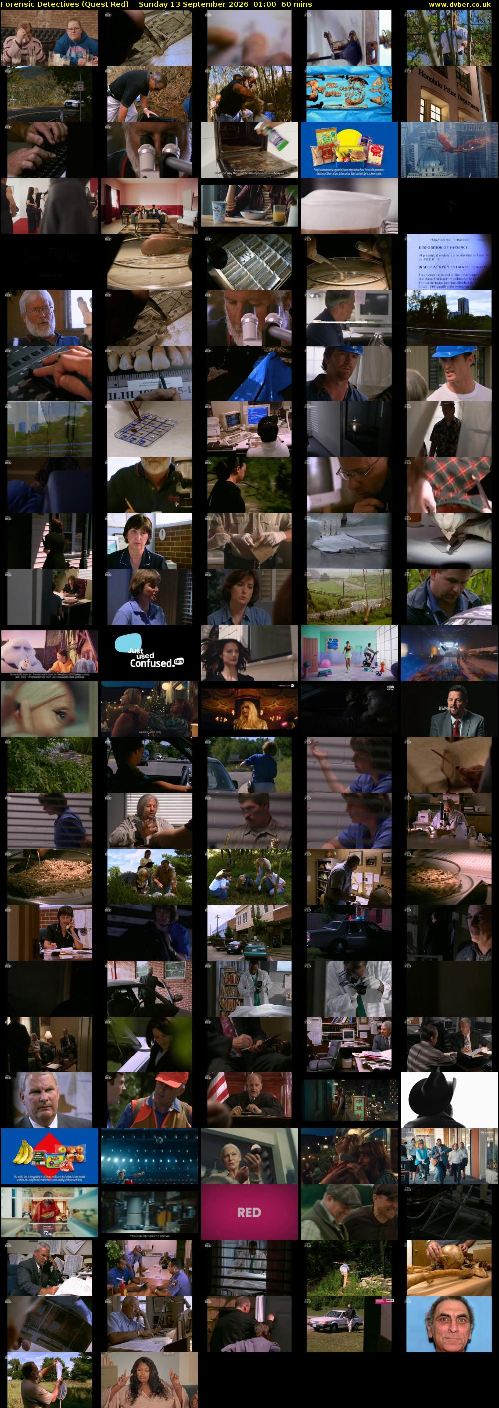 Forensic Detectives (Quest Red) Sunday 13 September 2026 01:00 - 02:00