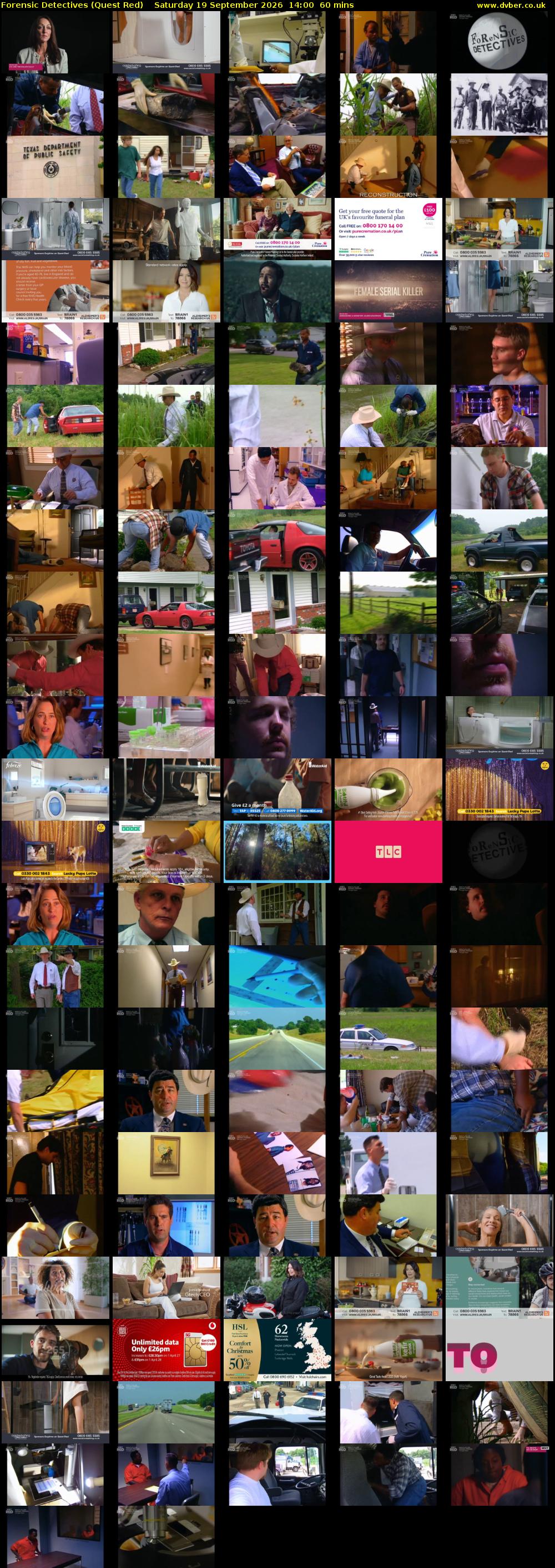 Forensic Detectives (Quest Red) Saturday 19 September 2026 14:00 - 15:00