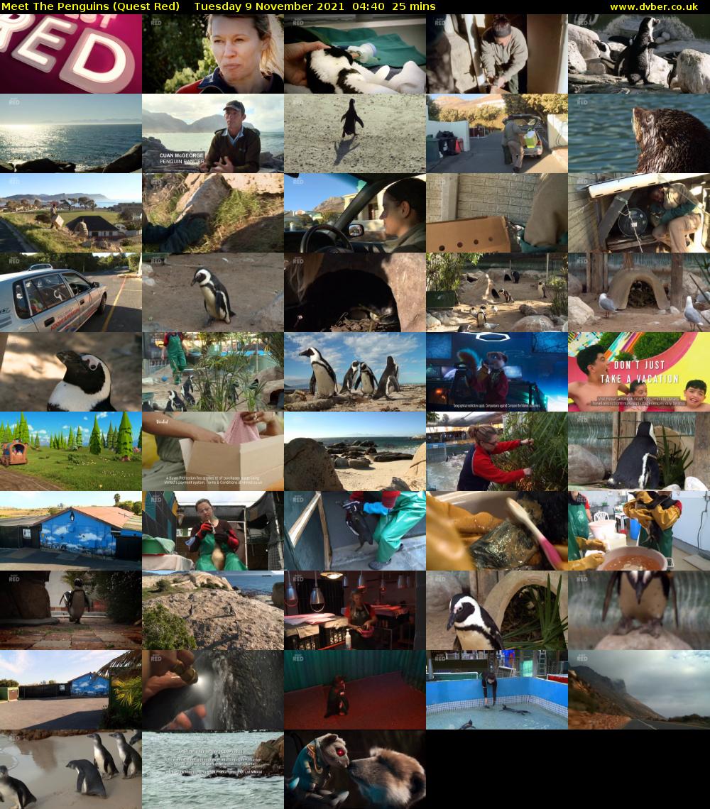 Meet The Penguins (Quest Red) Tuesday 9 November 2021 04:40 - 05:05