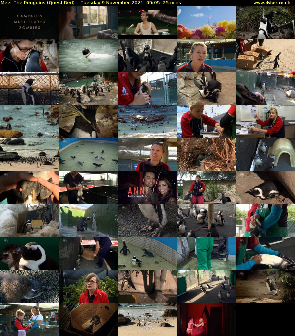 Meet The Penguins (Quest Red) Tuesday 9 November 2021 05:05 - 05:30