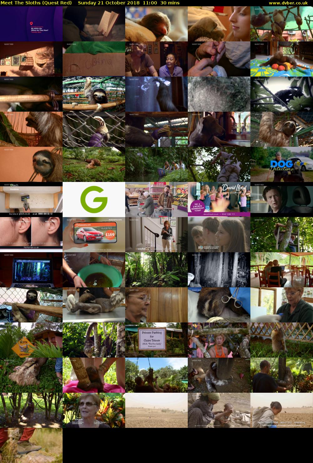 Meet The Sloths (Quest Red) Sunday 21 October 2018 11:00 - 11:30