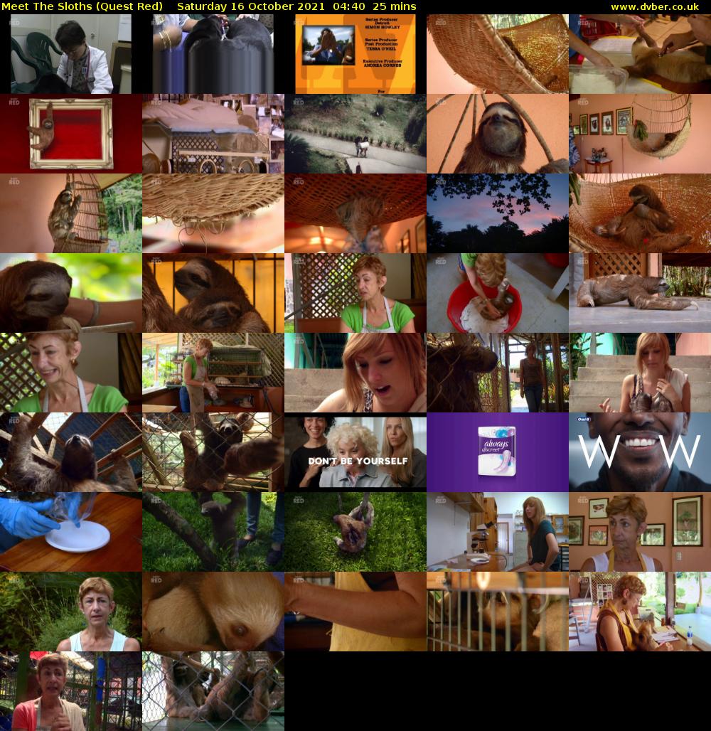 Meet The Sloths (Quest Red) Saturday 16 October 2021 04:40 - 05:05