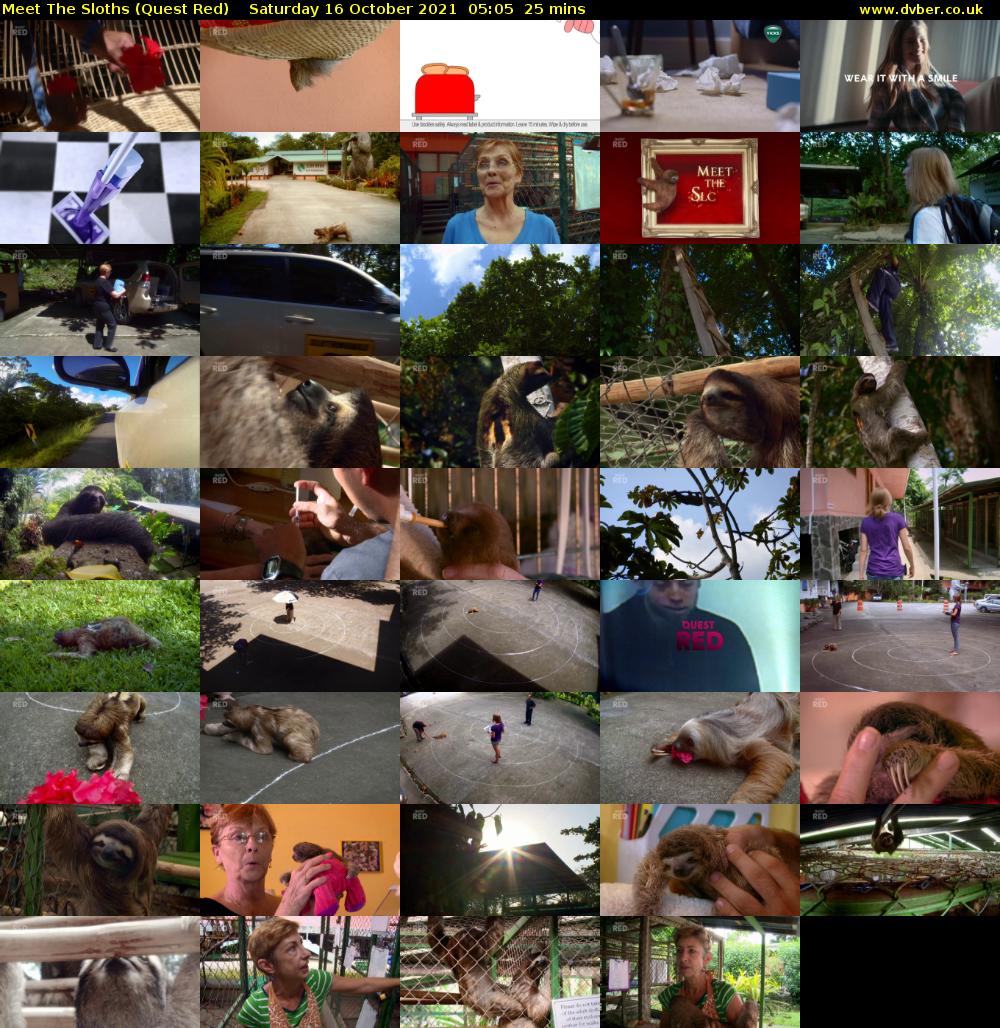 Meet The Sloths (Quest Red) Saturday 16 October 2021 05:05 - 05:30