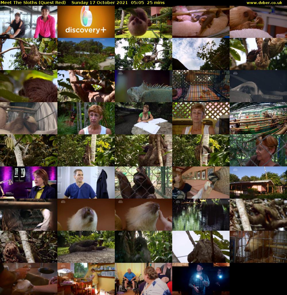 Meet The Sloths (Quest Red) Sunday 17 October 2021 05:05 - 05:30