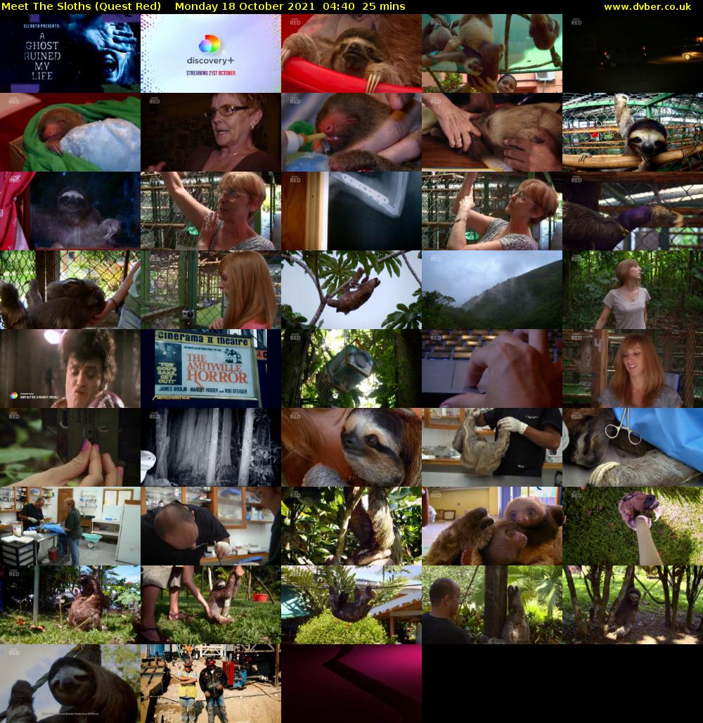 Meet The Sloths (Quest Red) Monday 18 October 2021 04:40 - 05:05