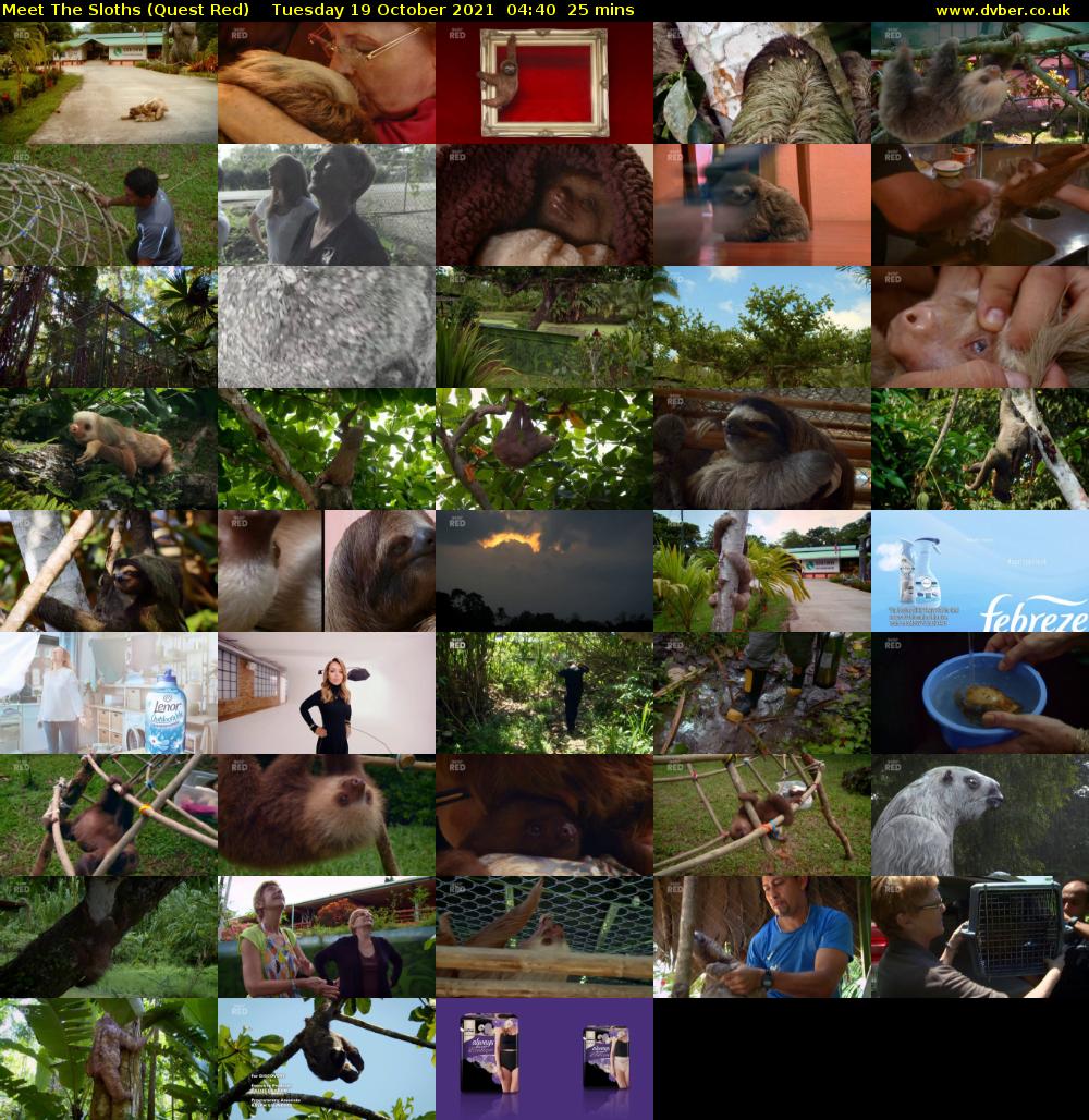 Meet The Sloths (Quest Red) Tuesday 19 October 2021 04:40 - 05:05