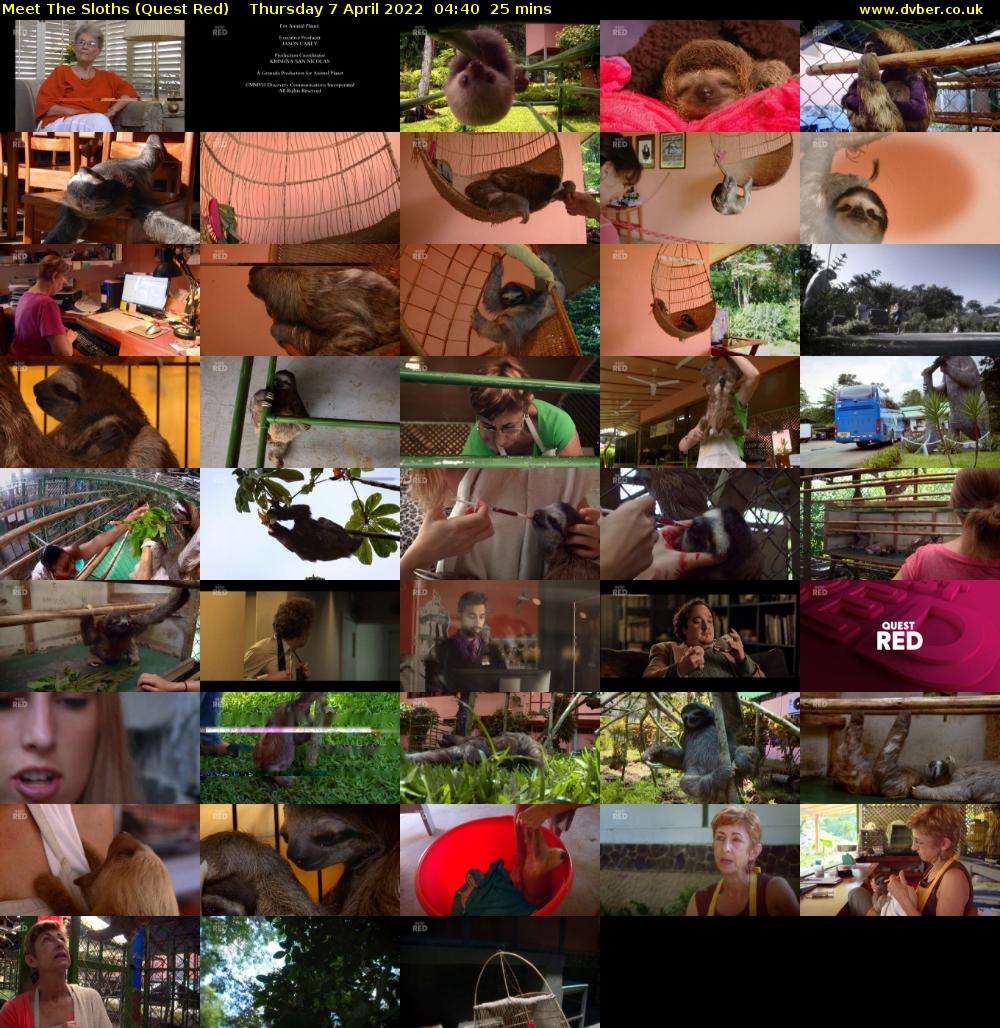 Meet The Sloths (Quest Red) Thursday 7 April 2022 04:40 - 05:05