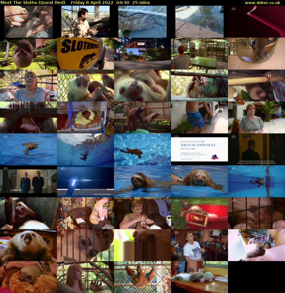 Meet The Sloths (Quest Red) Friday 8 April 2022 04:40 - 05:05