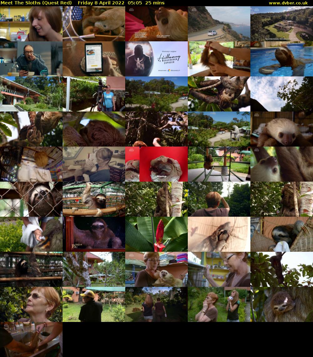 Meet The Sloths (Quest Red) Friday 8 April 2022 05:05 - 05:30
