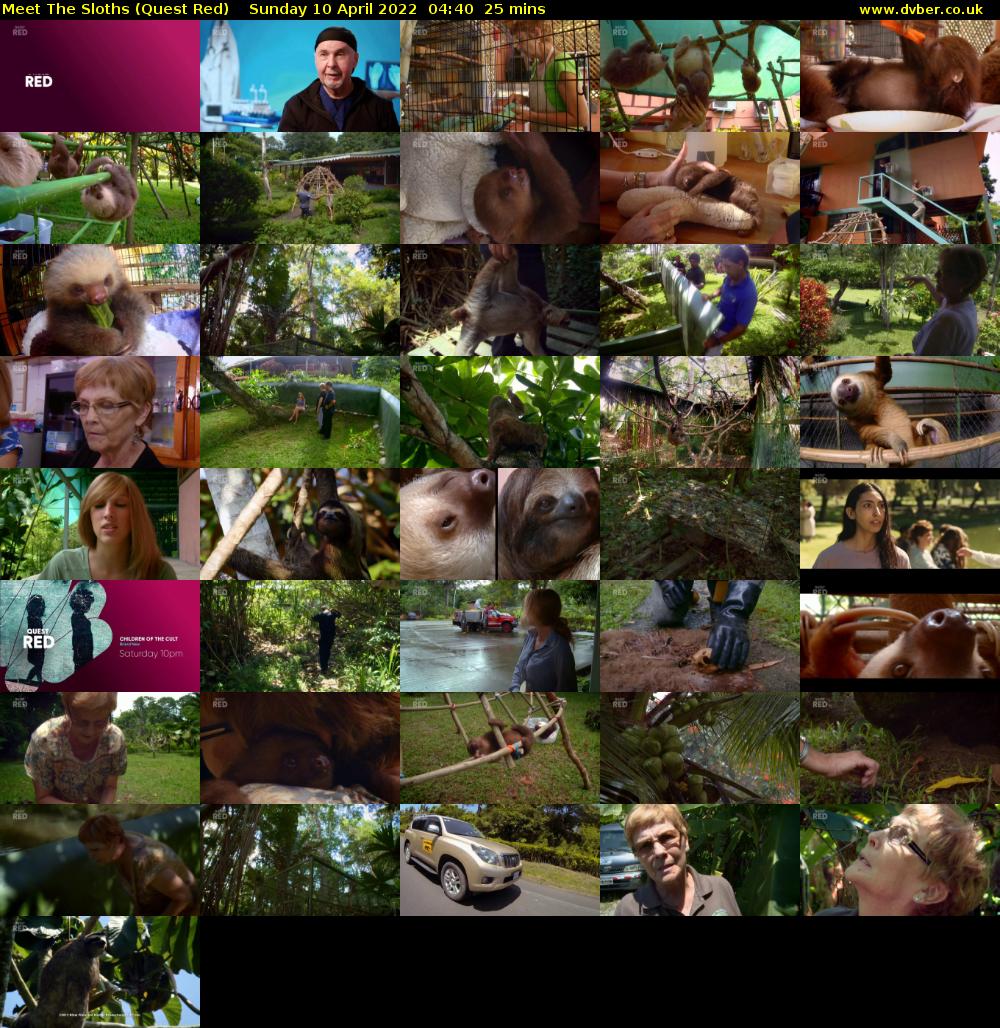 Meet The Sloths (Quest Red) Sunday 10 April 2022 04:40 - 05:05