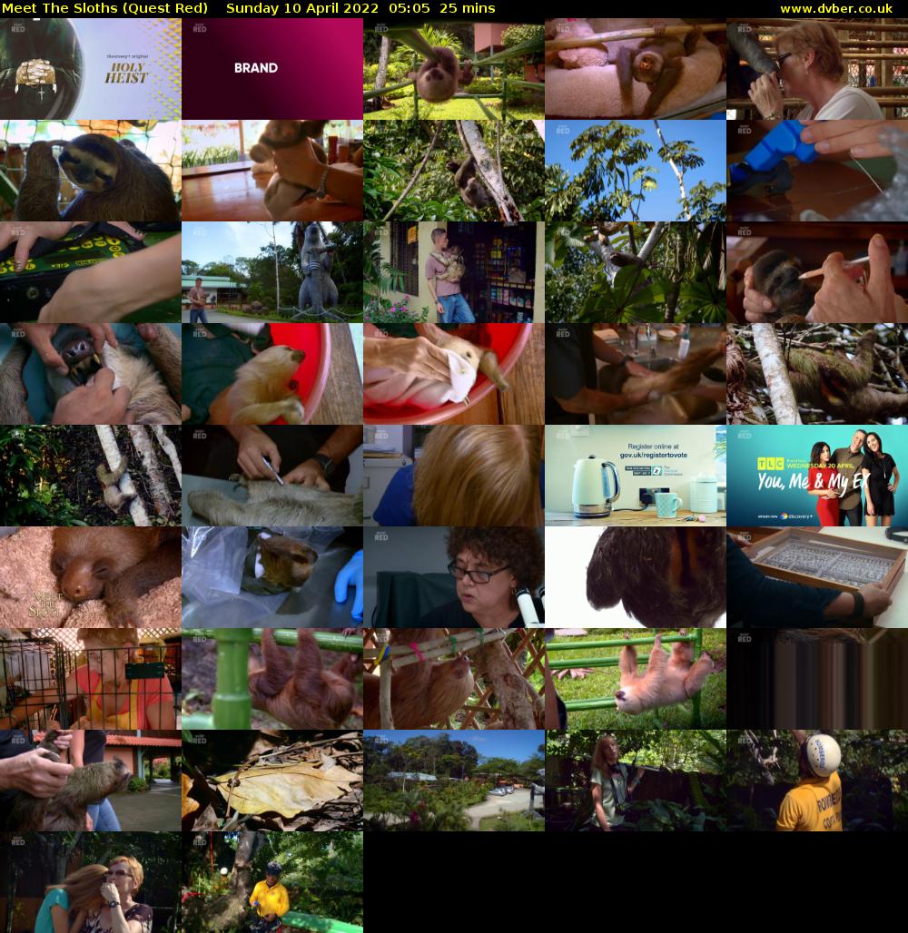 Meet The Sloths (Quest Red) Sunday 10 April 2022 05:05 - 05:30